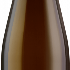 "355 NN" - Monopollage Riesling feinherb - Bio